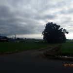 P8020001