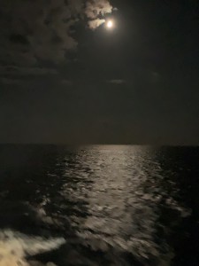 23BD1604-E397-4564-863B-DA2DED3EDAF2