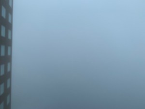 2B1CC804-53BD-4749-B1A7-03D3713A3D8D