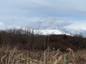 C893790A-D618-4EBF-ACF7-2B1ED3254F1B