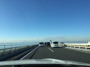 IMG_1555