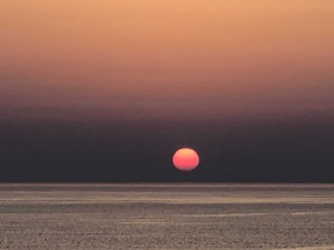 IMG_6500