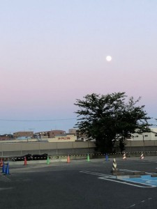 IMG_6973