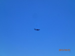 P4010324