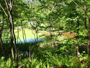 P5200065