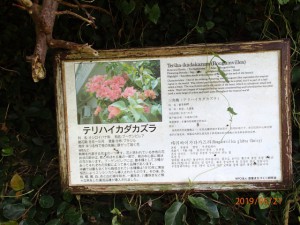 P5210215