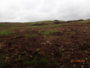P6080091