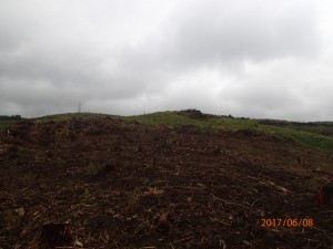 P6080097
