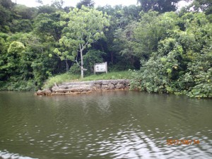 P6140292