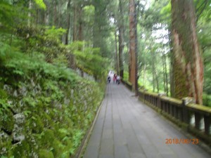 P6230008