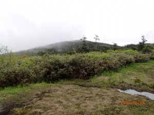 P6280043
