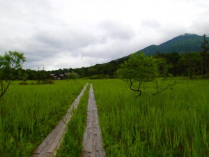 P7060062