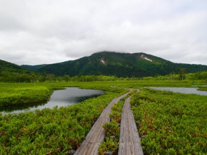 P7070146