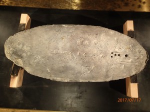 P7170274