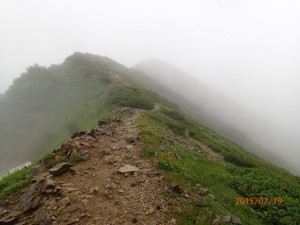P7190081