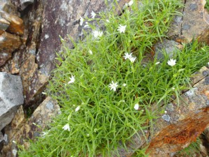 P7190176