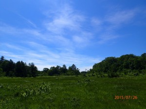 P7260257