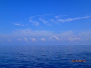 P8020023