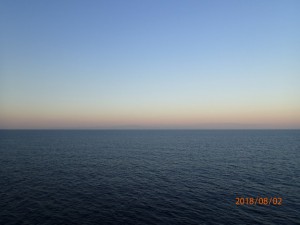 P8020038