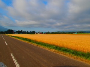 P8030115