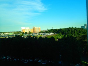 P8100066