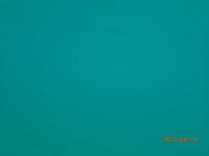 P8140111