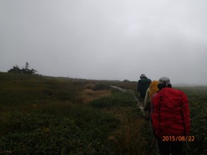 P8220249