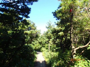 P9120329
