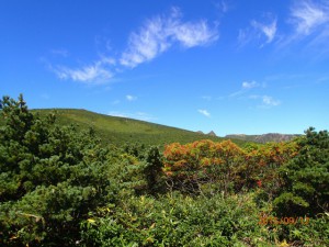 P9120331