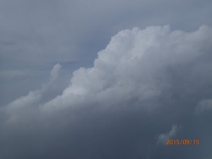 P9150391