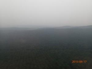 P9170035